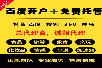 成功案例解读：SEM推广代运营策略
